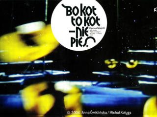 Koty - okładka katalogu