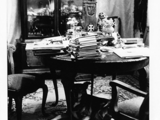 Lech Emfazy Stefański