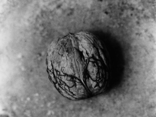 Kompot wigilijny - Orzech