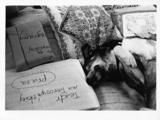 Lech Emfazy Stefański